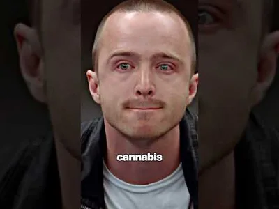 Weed’s stress relief “illusion” 🍃💨