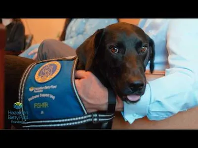 Hope Can Come with a Wagging Tail
