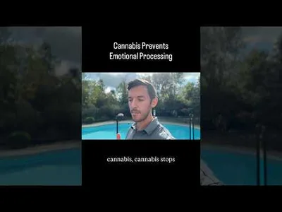 Cannabis dependence and emotional regulation don’t mix.