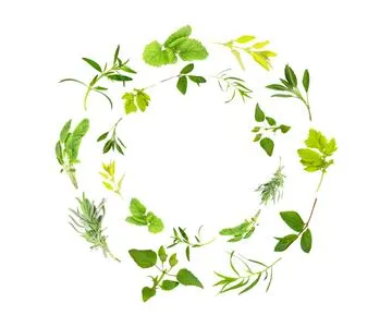 Parkinsons Recovery
