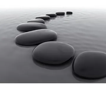 Parkinsons Recovery