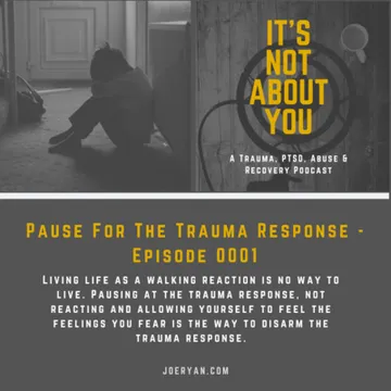 It’s Not You, It’s Your Trauma - Trauma, PTSD, Abuse, Anxiety & Recovery - Joe Ryan