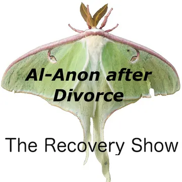 The Recovery Show » Finding serenity through 12 step recovery in Al-Anon – a podcast