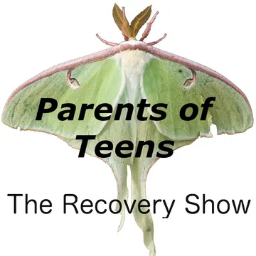 The Recovery Show » Finding serenity through 12 step recovery in Al-Anon – a podcast