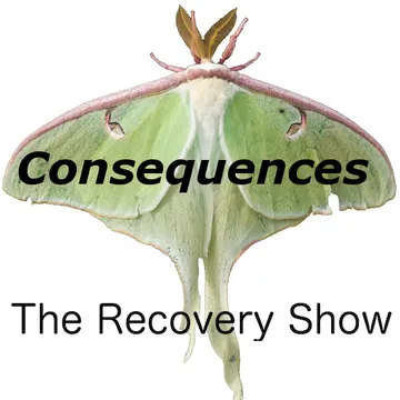 The Recovery Show » Finding serenity through 12 step recovery in Al-Anon – a podcast