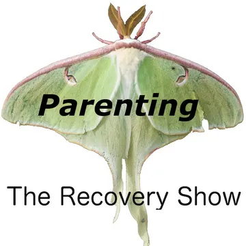 The Recovery Show » Finding serenity through 12 step recovery in Al-Anon – a podcast