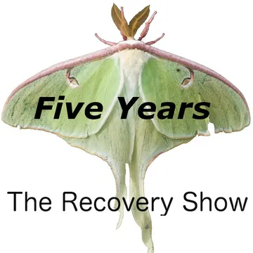 The Recovery Show » Finding serenity through 12 step recovery in Al-Anon – a podcast