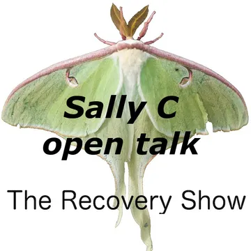 The Recovery Show » Finding serenity through 12 step recovery in Al-Anon – a podcast