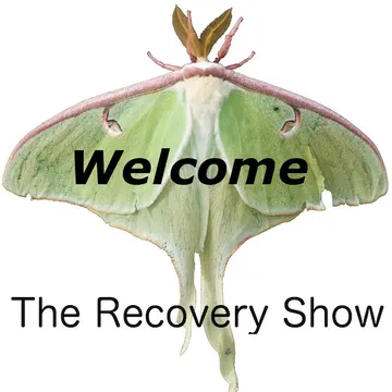 The Recovery Show » Finding serenity through 12 step recovery in Al-Anon – a podcast