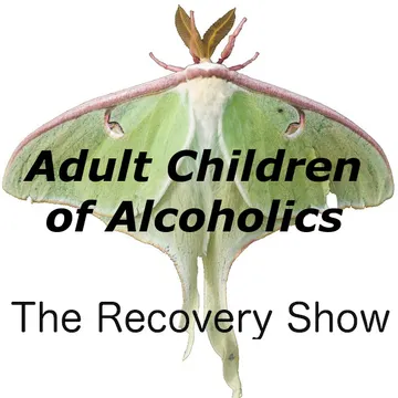 The Recovery Show » Finding serenity through 12 step recovery in Al-Anon – a podcast