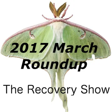 The Recovery Show » Finding serenity through 12 step recovery in Al-Anon – a podcast