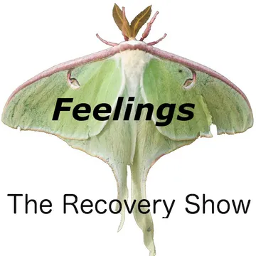 The Recovery Show » Finding serenity through 12 step recovery in Al-Anon – a podcast