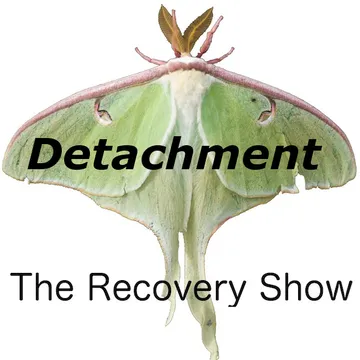 The Recovery Show » Finding serenity through 12 step recovery in Al-Anon – a podcast