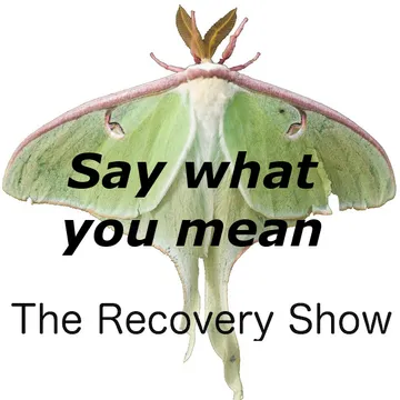 The Recovery Show » Finding serenity through 12 step recovery in Al-Anon – a podcast