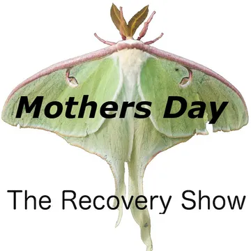 The Recovery Show » Finding serenity through 12 step recovery in Al-Anon – a podcast