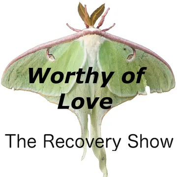 The Recovery Show » Finding serenity through 12 step recovery in Al-Anon – a podcast