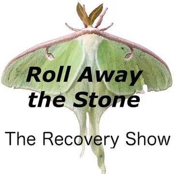 The Recovery Show » Finding serenity through 12 step recovery in Al-Anon – a podcast