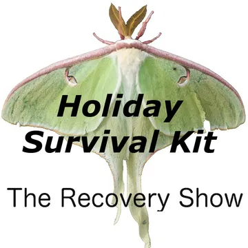 The Recovery Show » Finding serenity through 12 step recovery in Al-Anon – a podcast