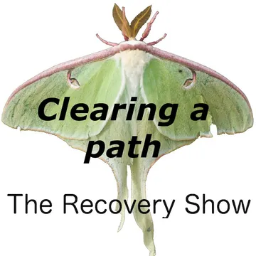 The Recovery Show » Finding serenity through 12 step recovery in Al-Anon – a podcast