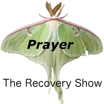 The Recovery Show » Finding serenity through 12 step recovery in Al-Anon – a podcast