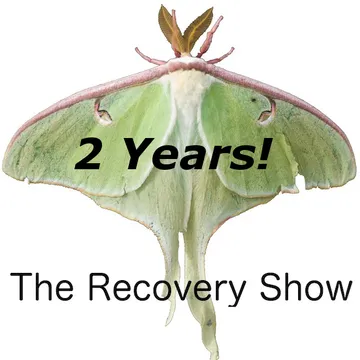 The Recovery Show » Finding serenity through 12 step recovery in Al-Anon – a podcast