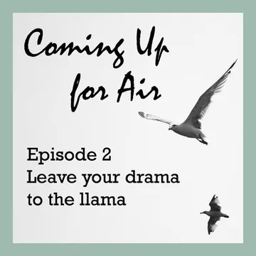 Coming Up for Air — Families Speak to Families about Addiction