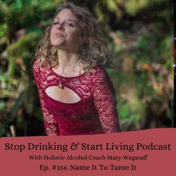 Stop Drinking and Start Living