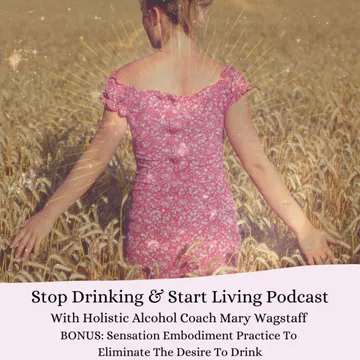 Stop Drinking and Start Living