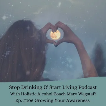 Stop Drinking and Start Living