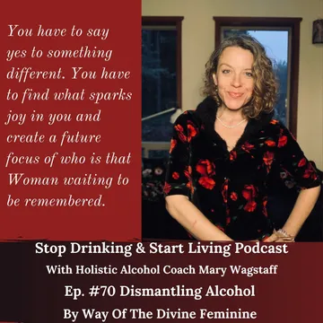 Stop Drinking and Start Living