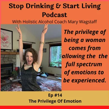 Stop Drinking and Start Living