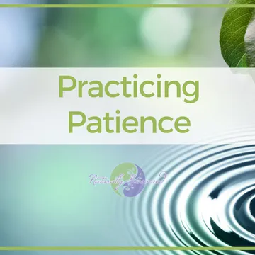 Naturally Recovered - Recovery Based Meditations with Ashlie