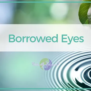Naturally Recovered - Recovery Based Meditations with Ashlie