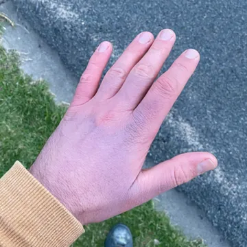 Luke Hand Diary
