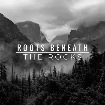 Roots Beneath The Rocks