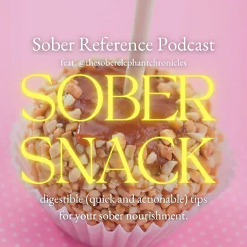 Sober Reference Podcast