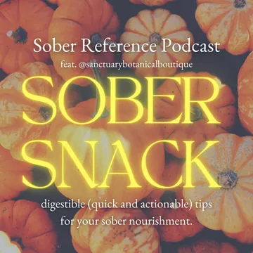 Sober Reference Podcast
