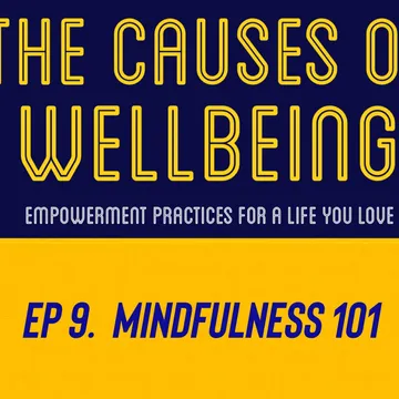 The Causes of Wellbeing