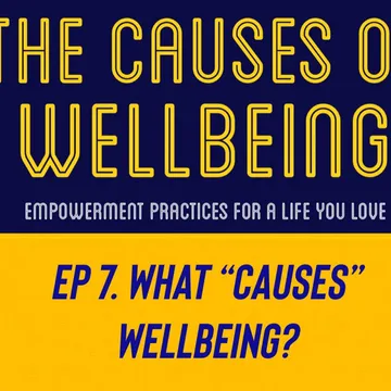 The Causes of Wellbeing