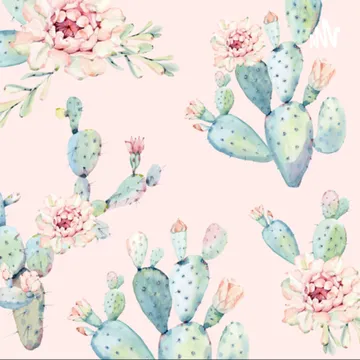 CactusVal
