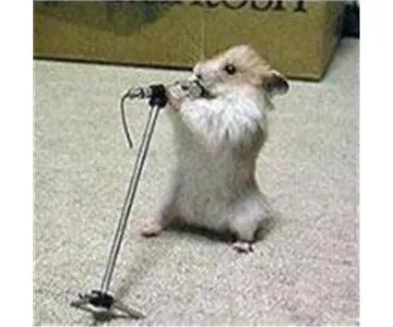 Harm Reduction Radio - HAMS