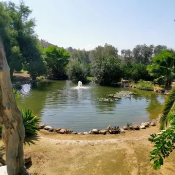 mHarp [Mental Health and Relaxation Program]