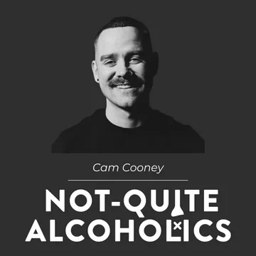 Not-Quite Alcoholics