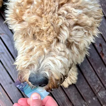 Luke Hand Diary