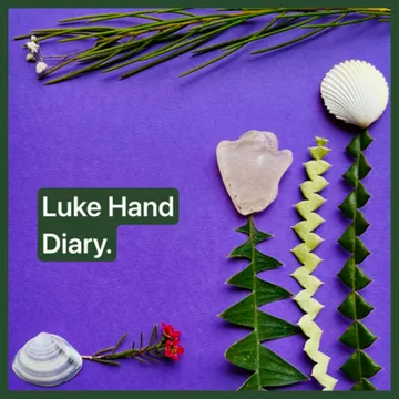 Luke Hand Diary