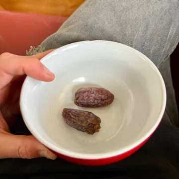 Luke Hand Diary