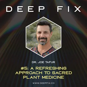 Deep Fix