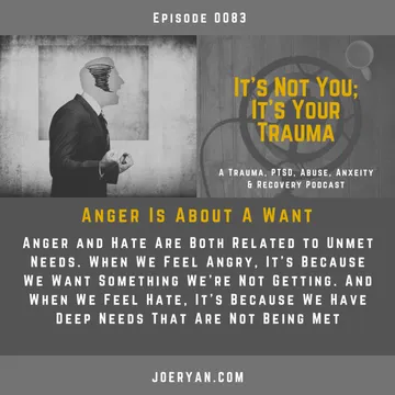It’s Not You, It’s Your Trauma - Trauma, PTSD, Abuse, Anxiety & Recovery - Joe Ryan