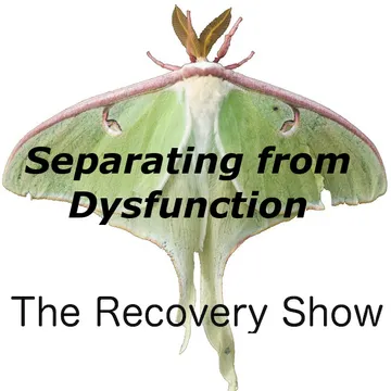 The Recovery Show » Finding serenity through 12 step recovery in Al-Anon – a podcast