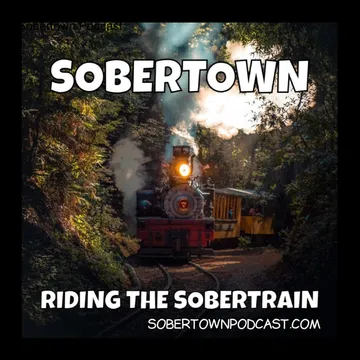 Parenting Without Alcohol: Insights from Sobertown Podcast